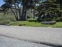 Scenic Road in California, USA