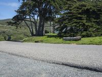 Scenic Road in California, USA