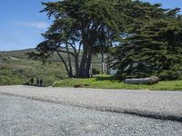 Scenic Road in California, USA