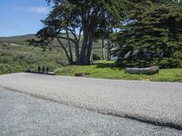 Scenic Road in California, USA