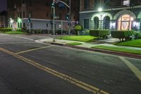 a night time street with the lights on and some shrubs in the road nearby at night