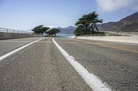 California, USA: Tree-Lined Road Along the Coast