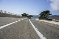 California USA: Tree-lined Road Coast 002