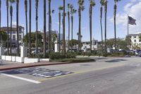 California USA Urban Design with Palm Trees 001