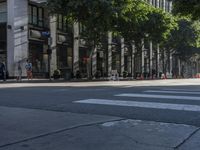 a black and white zebra crossing a street next to tall buildings with green trees on the other side