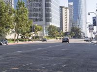 a street filled with lots of traffic next to tall buildings near a green tree in the foreground