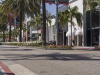 the city street has palm trees and white buildings in front of them and bushes with flowers