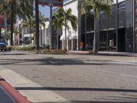 the city street has palm trees and white buildings in front of them and bushes with flowers