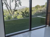 an open sliding glass door with green grass outside the house at dusk, with the valley and trees visible beyond