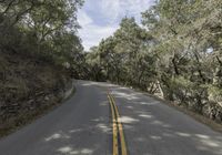 a motorcycle is going down a winding country road in the woods by himself with a view of the trees