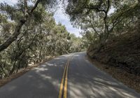 a motorcycle is going down a winding country road in the woods by himself with a view of the trees