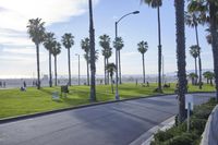 California Vacation Spot: Clear Sky, Ocean View