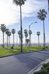 California Vacation Spot: Clear Sky, Ocean View