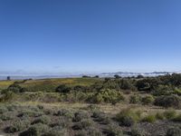 the view from a hill side shows a wide valley and fields and hills with green vegetation