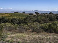 the view from a hill side shows a wide valley and fields and hills with green vegetation