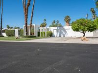 a driveway with palm trees in the yard and a white gated entrance into a white house