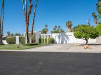 a driveway with palm trees in the yard and a white gated entrance into a white house