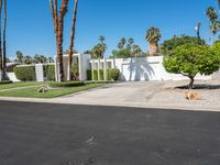 a driveway with palm trees in the yard and a white gated entrance into a white house