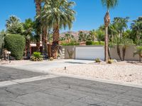 California Villa: Residential Oasis Among Palm Trees