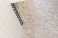 California Villa: Urban Home Design at its Finest