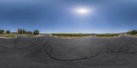 a fisheye photo of a vineyard and sun setting in the sky over a road