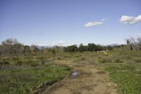 California Wilderness Road Nature Landscape 002
