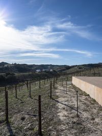 the view from a covered patio on top of the hill of a winery house looking down a vineyard yard