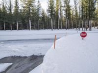 a stop sign buried in snow next to the road in a park area with evergreen trees and ice