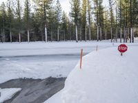 a stop sign buried in snow next to the road in a park area with evergreen trees and ice