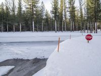 a stop sign buried in snow next to the road in a park area with evergreen trees and ice