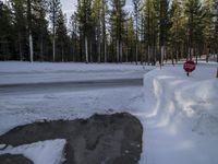 a stop sign buried in snow next to the road in a park area with evergreen trees and ice