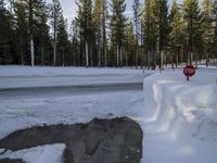 a stop sign buried in snow next to the road in a park area with evergreen trees and ice