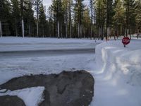 a stop sign buried in snow next to the road in a park area with evergreen trees and ice