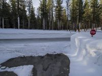 a stop sign buried in snow next to the road in a park area with evergreen trees and ice