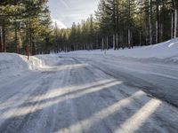 California's Winter: Woody Plants and Asphalt Roads