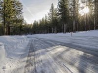 California's Winter: Woody Plants and Asphalt Roads