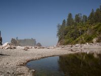 rocks, trees, and rocks near a body of water in the woods at low tide