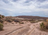 a dirt road that goes through the desert in the daytime time as a cloudy sky is over