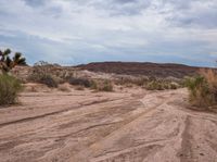 a dirt road that goes through the desert in the daytime time as a cloudy sky is over