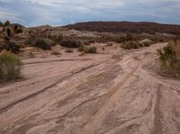 a dirt road that goes through the desert in the daytime time as a cloudy sky is over