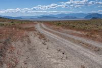 Californian Desert Landscape: A Natural Wonder