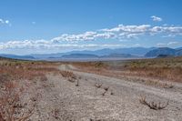 Californian Desert Landscape: A Natural Wonder