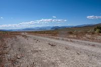 Californian Desert Landscape: A Natural Wonder