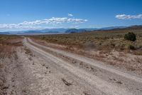 Californian Desert Landscape: A Natural Wonder