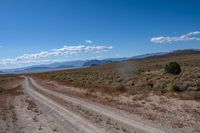 Californian Desert Landscape: A Natural Wonder