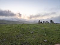 Californian Mountain Landscape: A Blend of Nature and Open Space