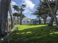 California's Green Space: Open Lawns and Trees