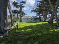 California's Green Space: Open Lawns and Trees