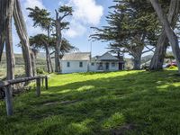 California's Green Space: Open Lawns and Trees