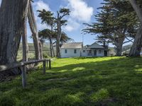 California's Green Space: Open Lawns and Trees